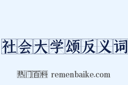 社会大学颂反义词是什么意思的图片